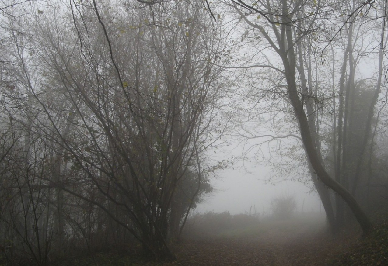 ci sono cose in un silenzio....